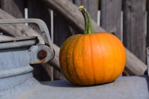 A small sugar pumpkin